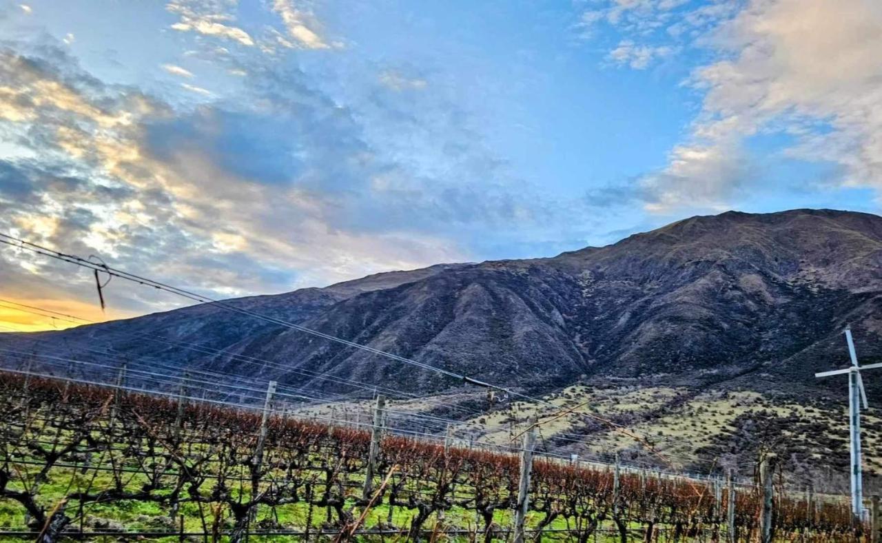 Апартаменты Gibbston - Wake Up In The Vines Экстерьер фото